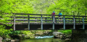 Bridge on the Deep Creek Trail in Bryson City NC