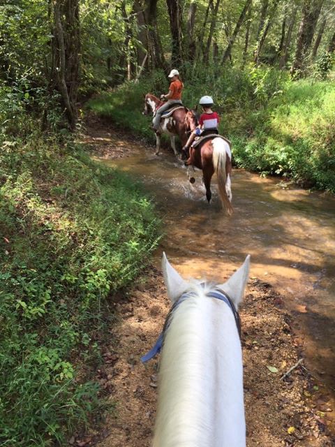Cedar Creek Stables -Horseback trail riding Lake Lure NC 