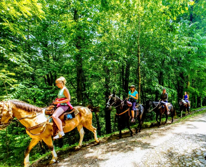 Horseback Riding Bryson City NC -Carolina Bound Adventures