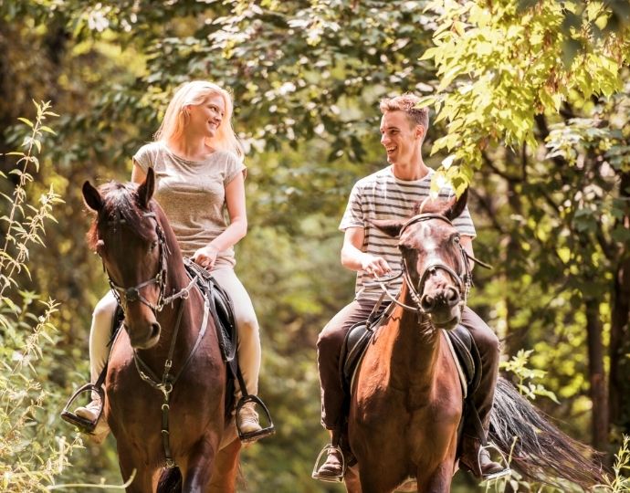 horseback trail riding near Asheville NC
