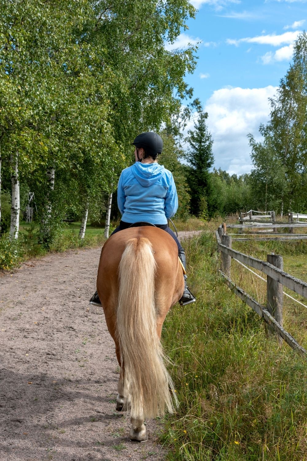 Horseback riding in NC mountains - Doughton Park