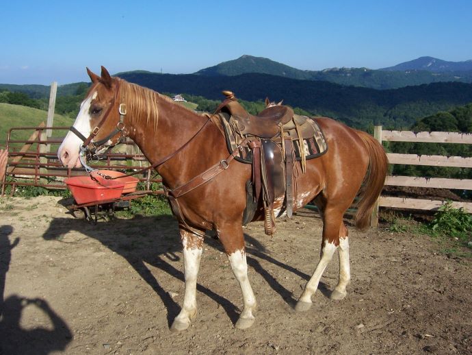 horseback riding Banner Elk NC-Banner Elk Stables