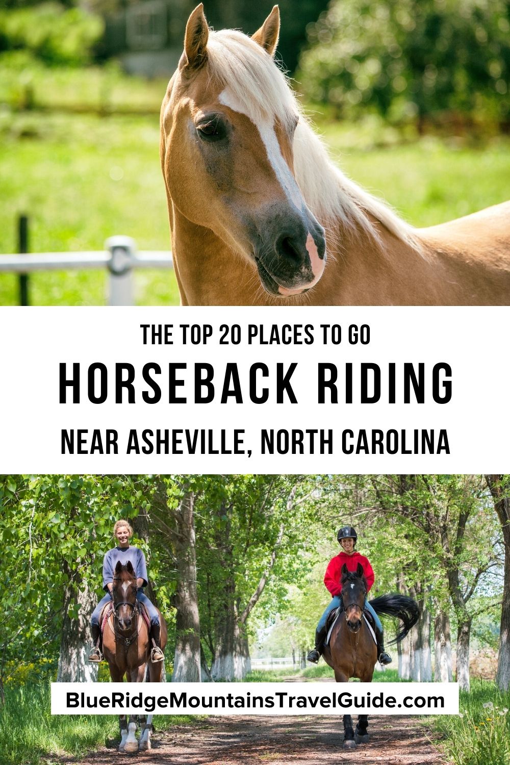 Whether you have your own horses or are new to riding horses, these are the top places for horseback riding in/near Asheville NC. | Asheville horseback riding | horseback riding in boone nc | horseback riding in north carolina | horseback riding in cherokee nc | horseback riding in bryson city NC | horseback riding in hendersonville nc | horseback riding in blowing rock nc | horseback riding| horseback riding in nc mountains | horse riding in asheville nc | horseback riding near bryson city nc |