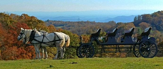 Carriage Run Carriage Service
