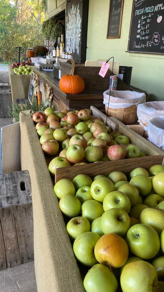 Henley's Orchard - Virginia apple picking