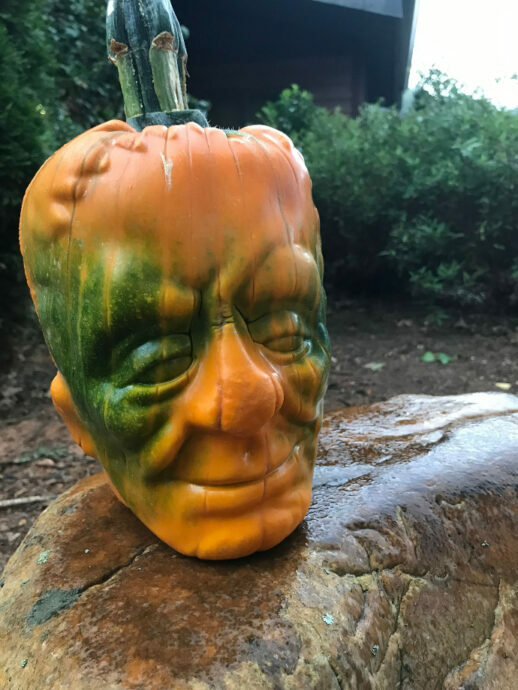 Spooky Pumpkin at Harvest Farm in Valle Crucis NC