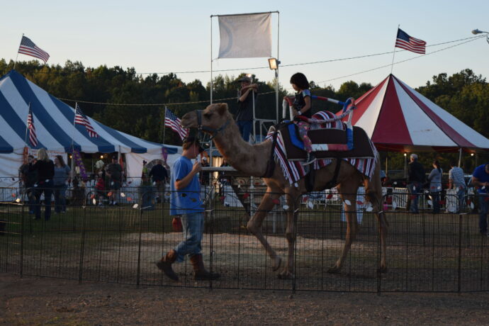 Spalding County Fair