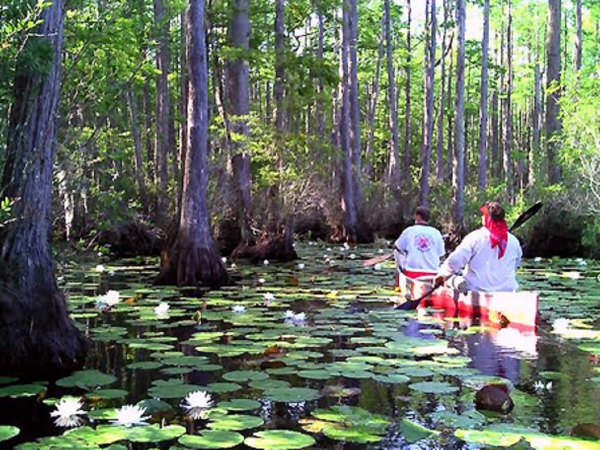 Paddling at the Okefenokee National Wildlife Refuge -places in Georgia to visit
