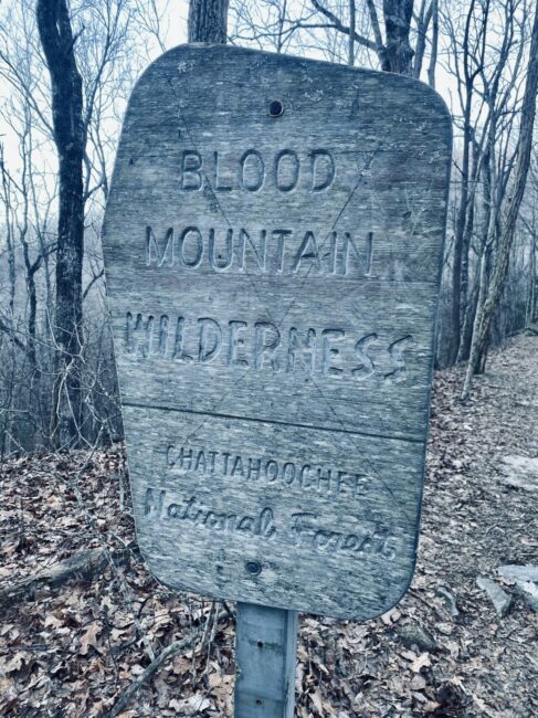 Blood Mountain Wilderness Sign on the Preachers Rock Trail