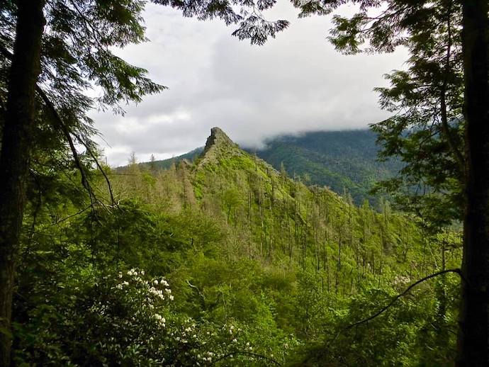 great smoky mountains national park trails -Chimney Tops