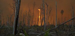 Fire whirl at Great Dismal Swamp National Wildlife Refuge -Haunted Places in North Carolina