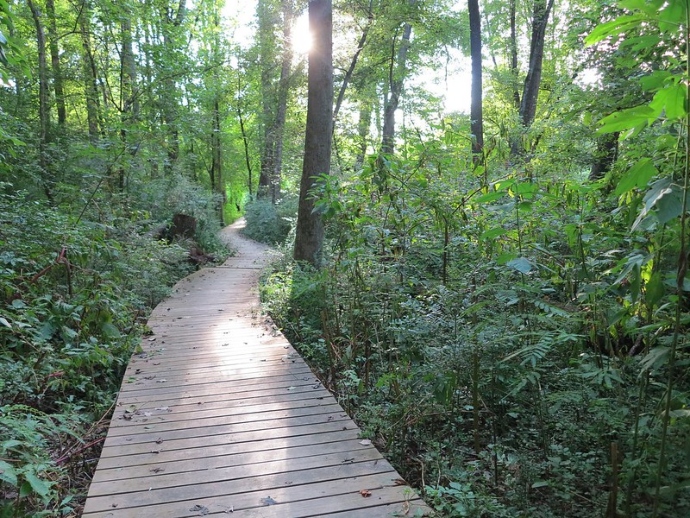 trails near atlanta