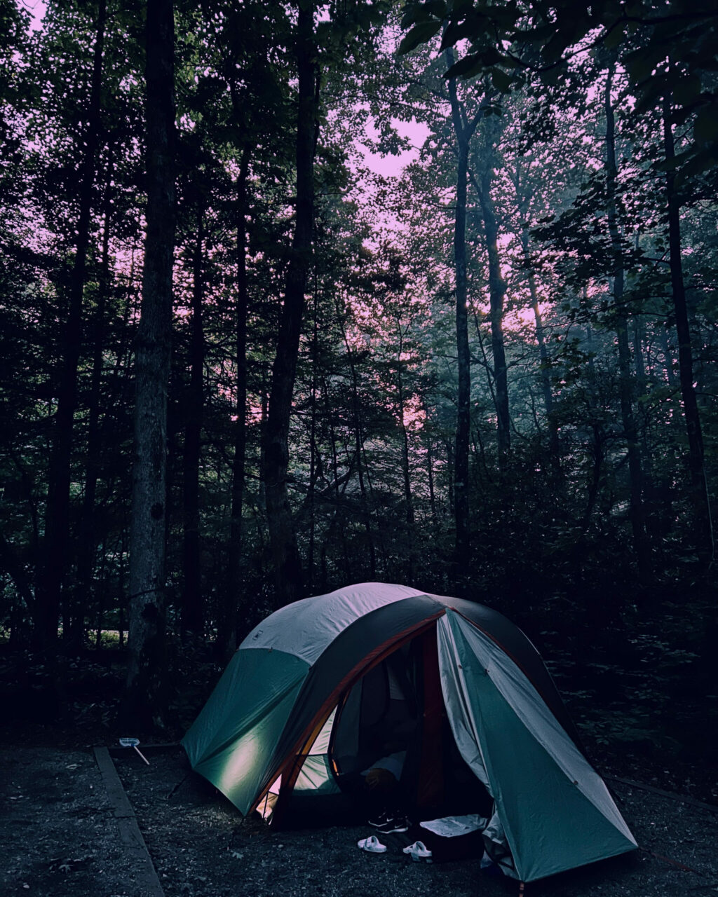 Lake Winfield Scott Campground