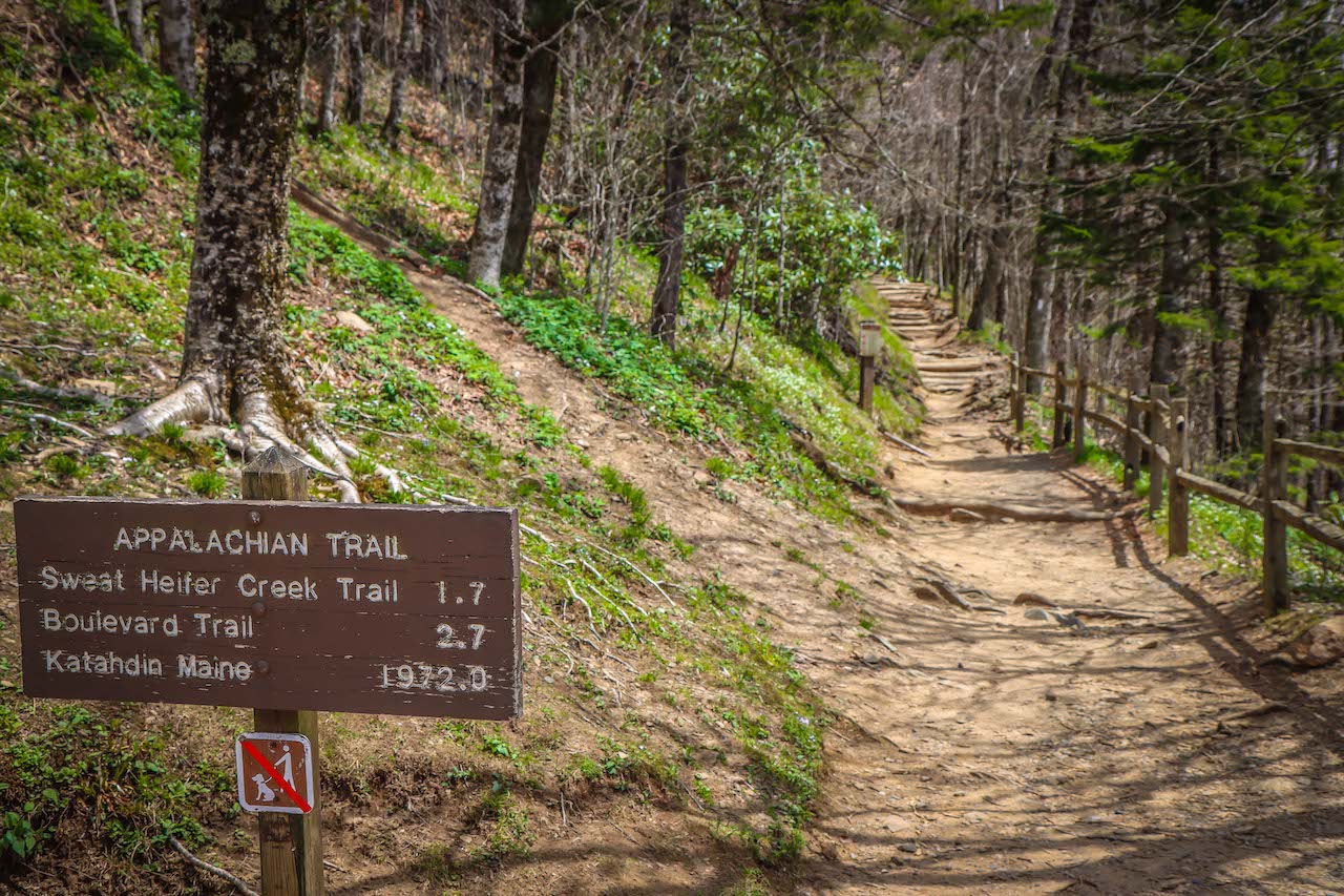 Things to do in the Smoky Mountains-Appalachian Trail at Newfound Gap in Cherokee NC