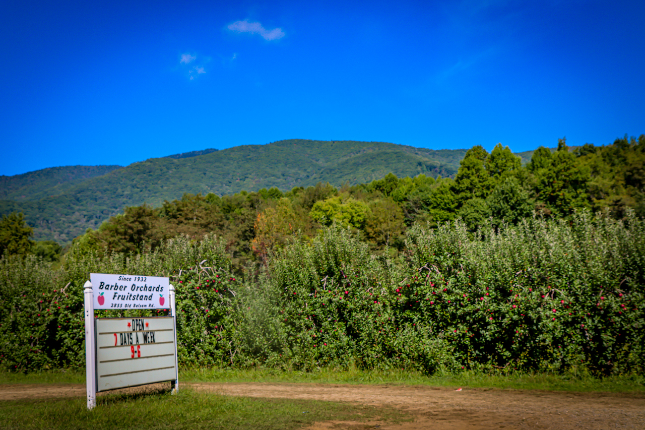 Apples at the Barber Orchards Fruitstand in Waynesville NC