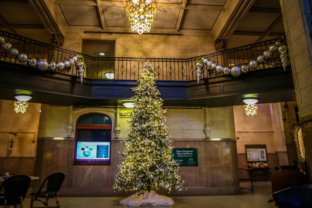 18 Festive Ways to Celebrate an Asheville NC Christmas (20242025)