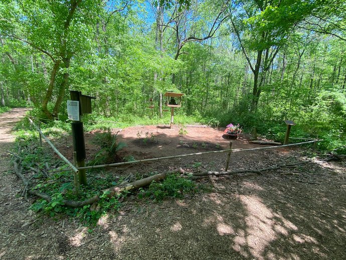 Clyde Shepherd Nature Preserve