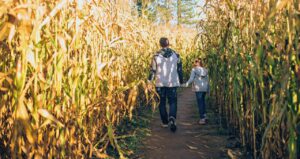 Corn Maze in GA