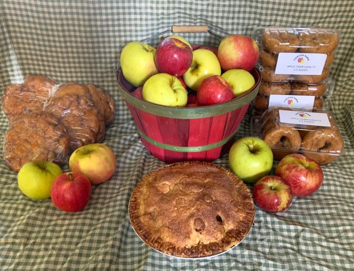 apples in NC - Coston Farm