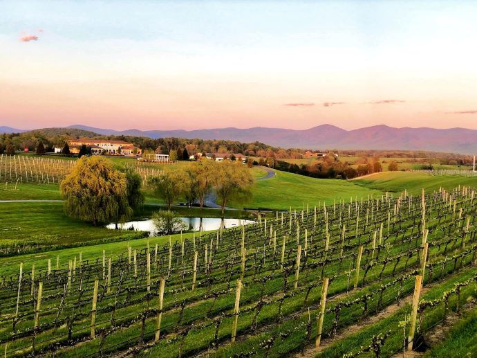 CrossKey Vineyards - Virginia Wineries