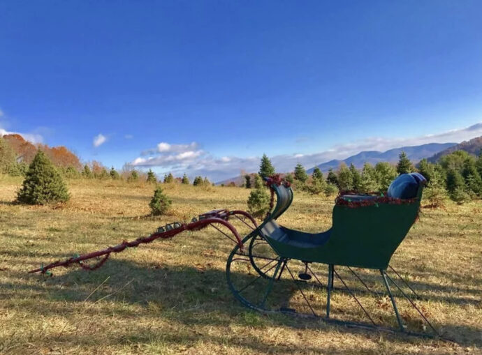 Christmas in Virginia - Dancing Hill Christmas Tree Farm