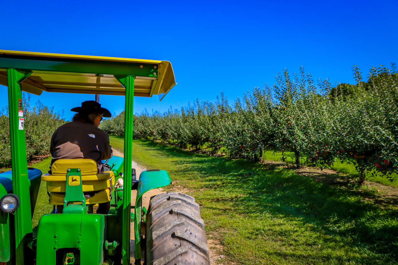 Hayride through the orchards at Jeter Mountain Farm Apple Orchard in Hendersonville NC