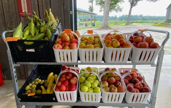 North Carolina apples - McConnell Farms