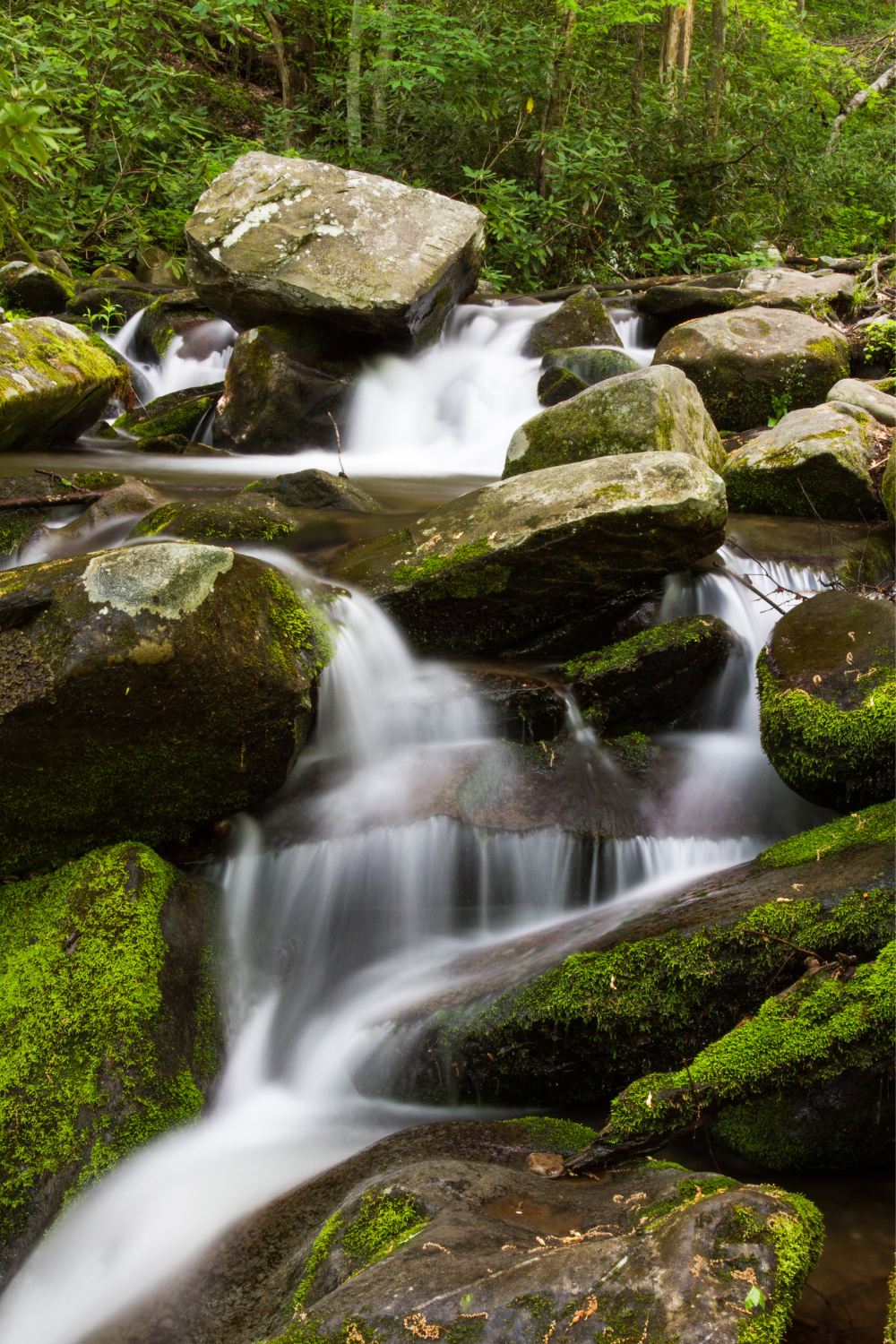 Best places to visit in smoky mountains - Roaring Fork Motor Nature Trail 