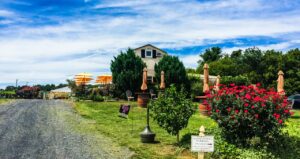 Virginia Wineries