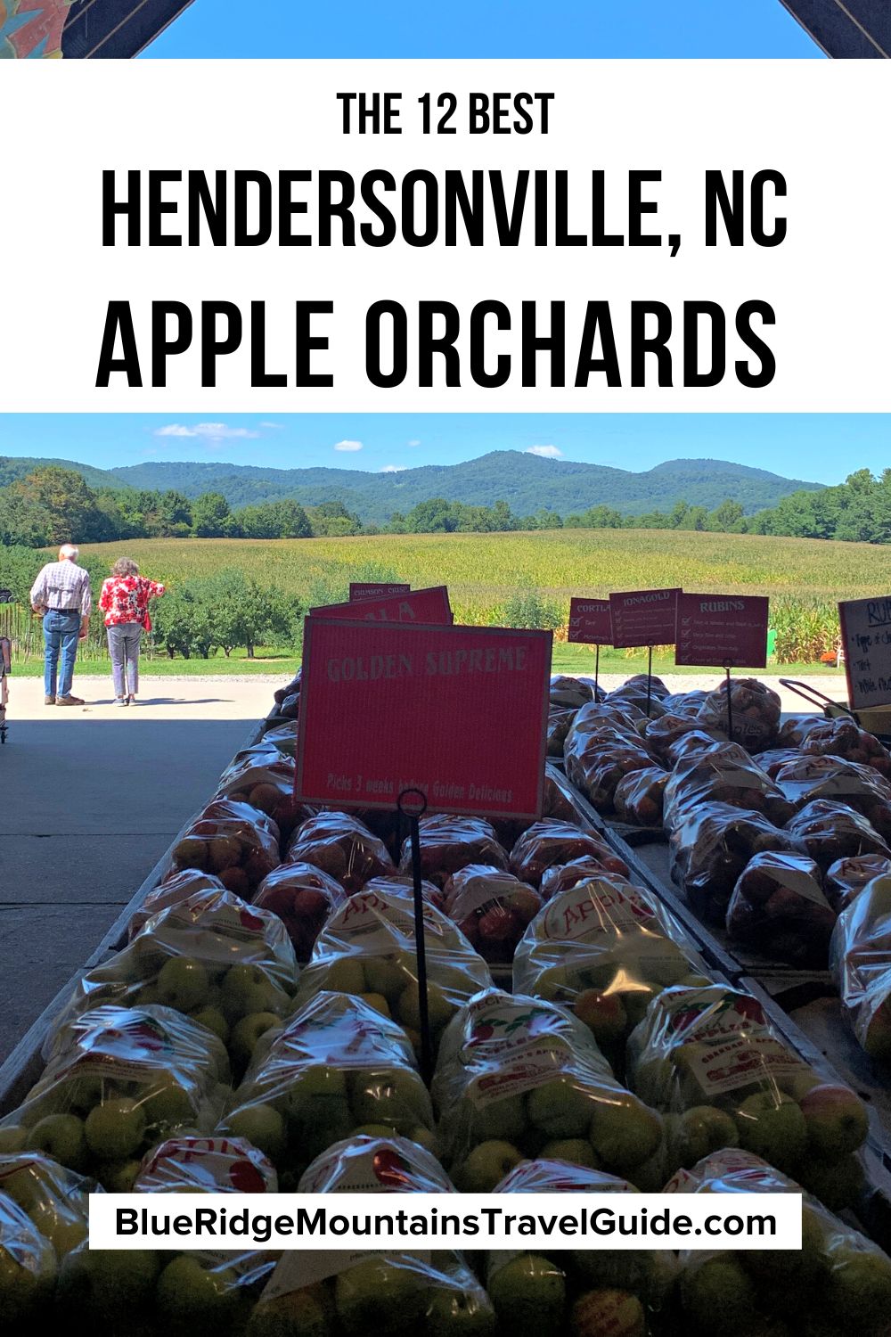 The 12 best Hendersonville apple orchards to visit, including orchards offering apple picking, hayrides, corn mazes, pumpkin patches, and more! | apples in nc | nc apple orchards | north carolina apples | north carolina orchards | nc apple picking | north carolina apple picking | apples orchards | apple picking nc mountains |