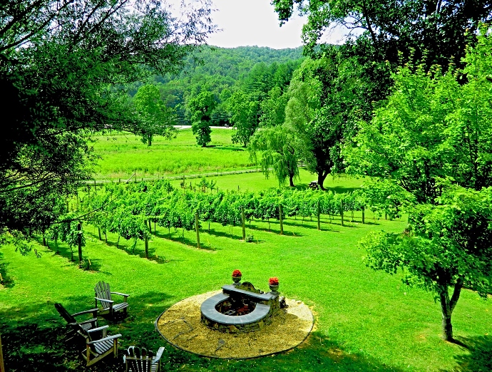 North GA wineries - Hightower Creek Vineyards