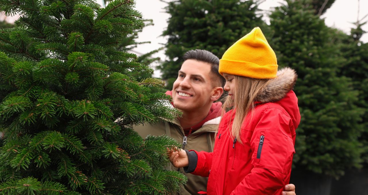 Choose and Cut Christmas Tree Farms in Virginia