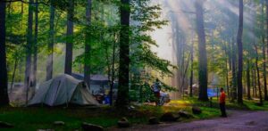 Elkmont Campground - best campgrounds in Smoky Mountains