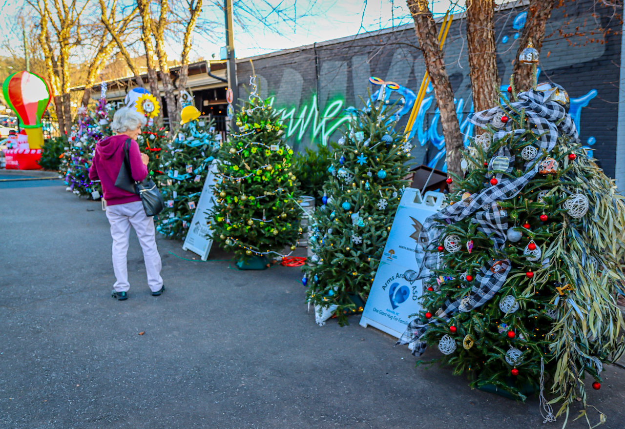 18 Festive Ways to Celebrate an Asheville NC Christmas (20242025)