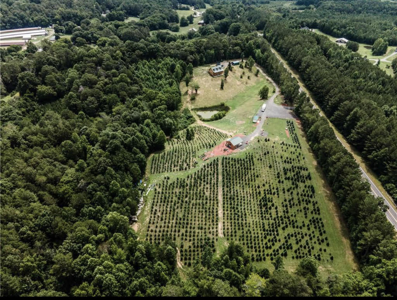 Overhead view of Moss Family Christmas Tree Farm in Adairsville GA