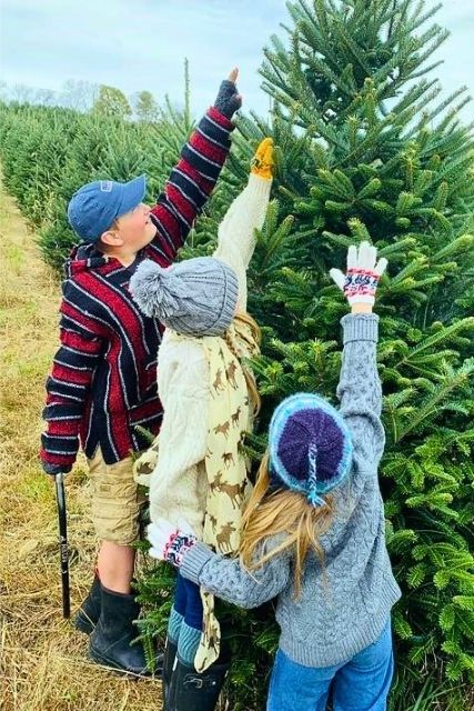Roanoke Christmas Trees - Sweet Providence Farm