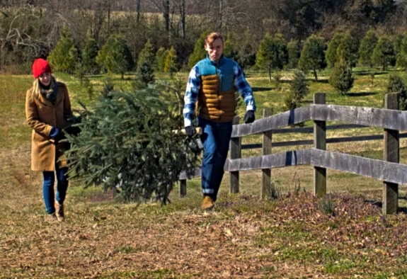 The 15 Best Christmas Tree Farms in Virginia (2023)