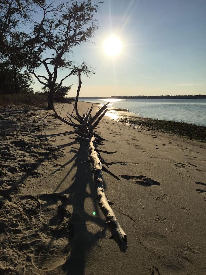25 Best Places NC - Carolina Beach State Park