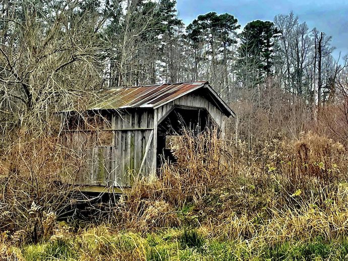 7 Covered Bridges in North Carolina You Can Visit in 1 Day