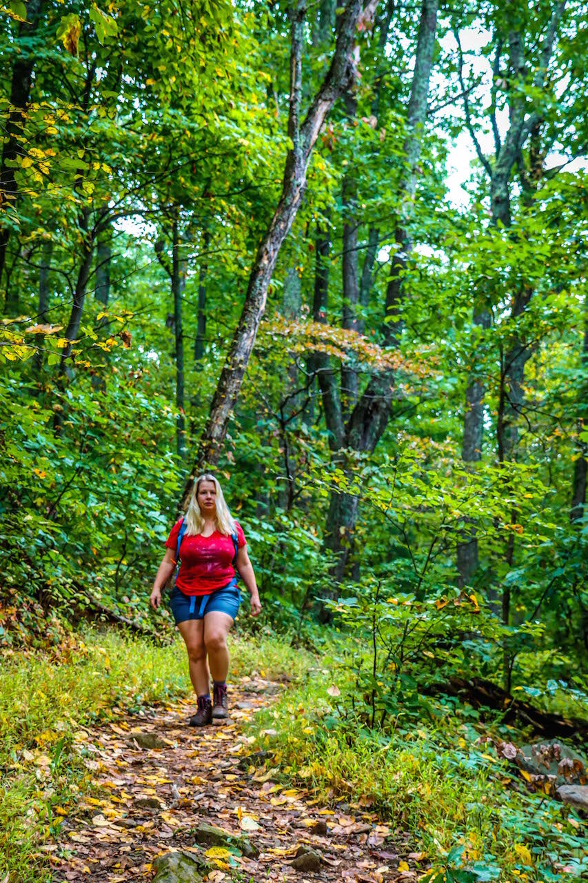 Hiking in the Washington & Jefferson National Forests of Virginia