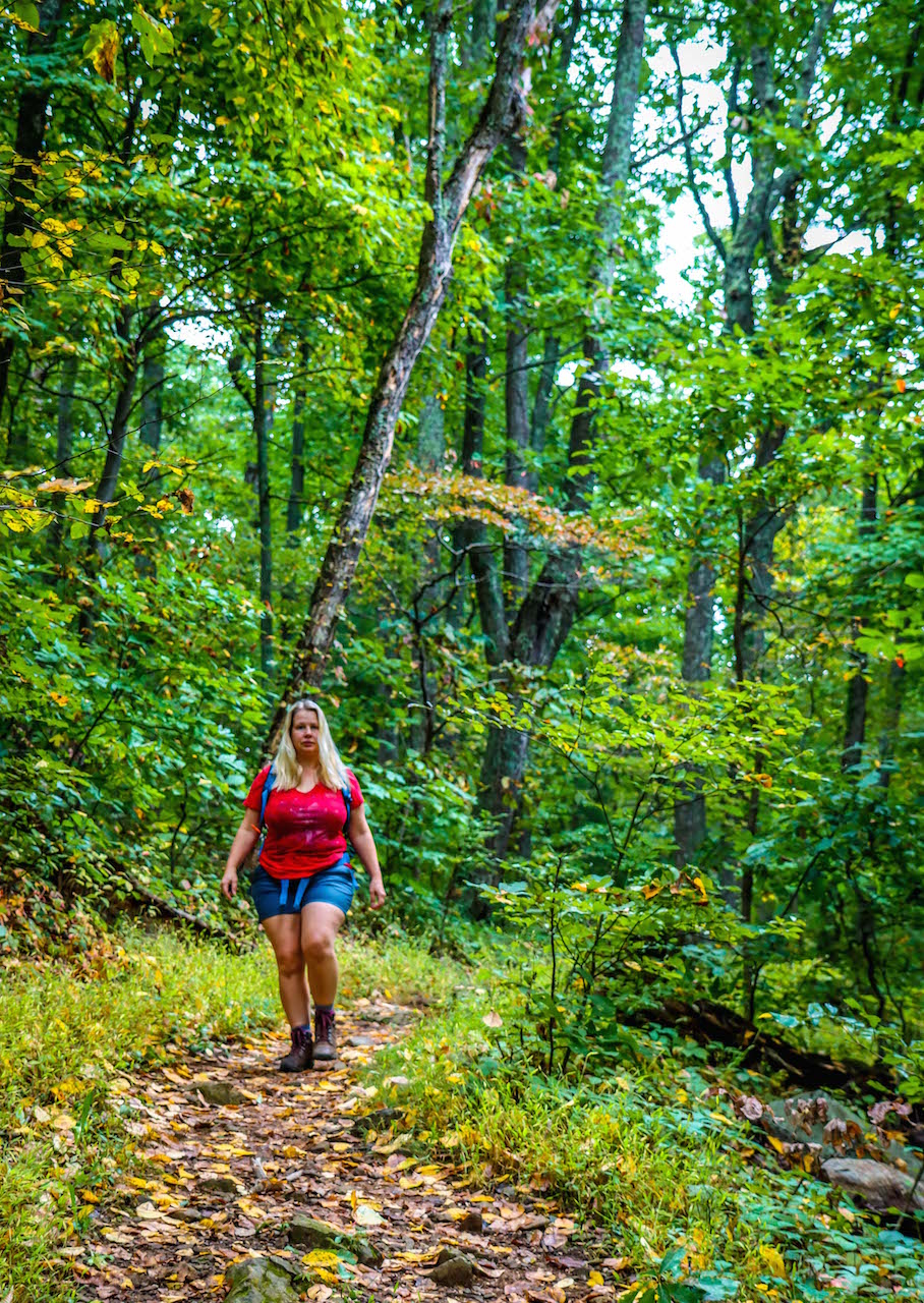 Hiking in the Washington & Jefferson National Forests of Virginia