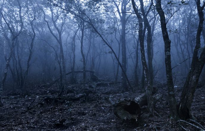 The Tennessee Legend of the Bell Witch Haunting