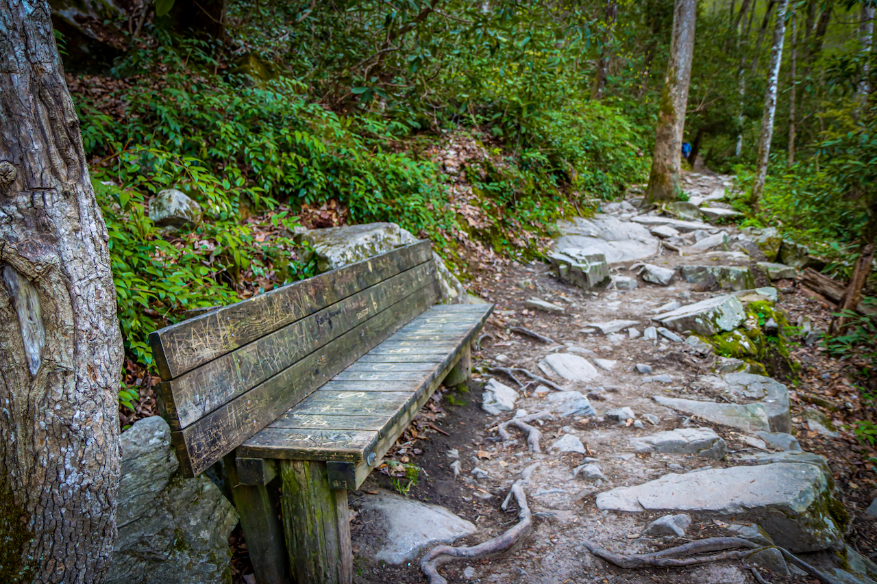 Bench on Mingo Falls Trail in Cherokee NC 