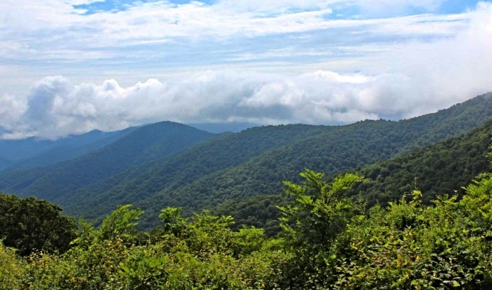 View from Buck Spring Gap Overlook