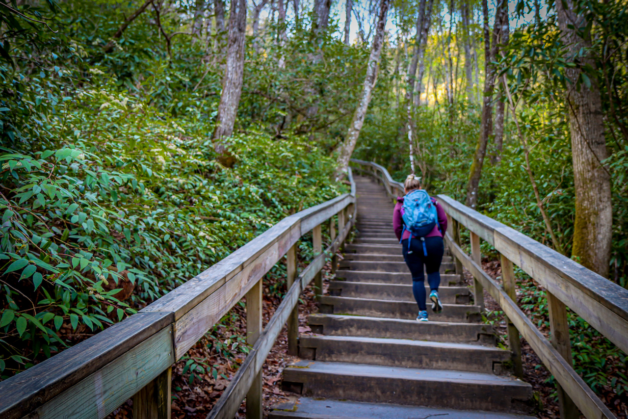 Mary Climbing Stairs on Mingo Falls Trail in Cherokee NC