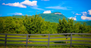 Yonah Mountain- Things to Do in Helen GA Lead