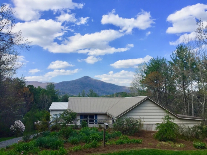 Sautee Paso Fino Ranch Guest Cabin, pet friendly cabins helen ga 