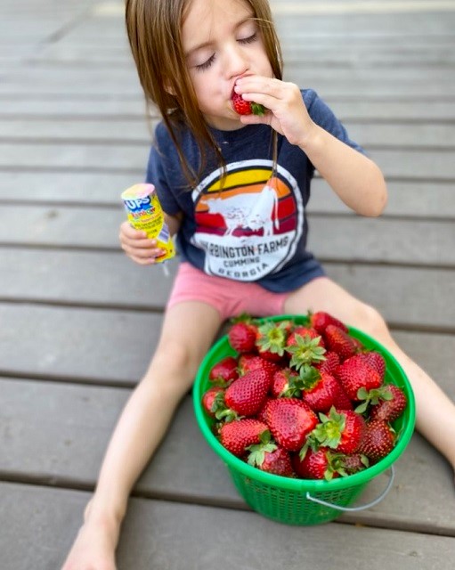 Georgia Strawberry Farms - Warbington Farms