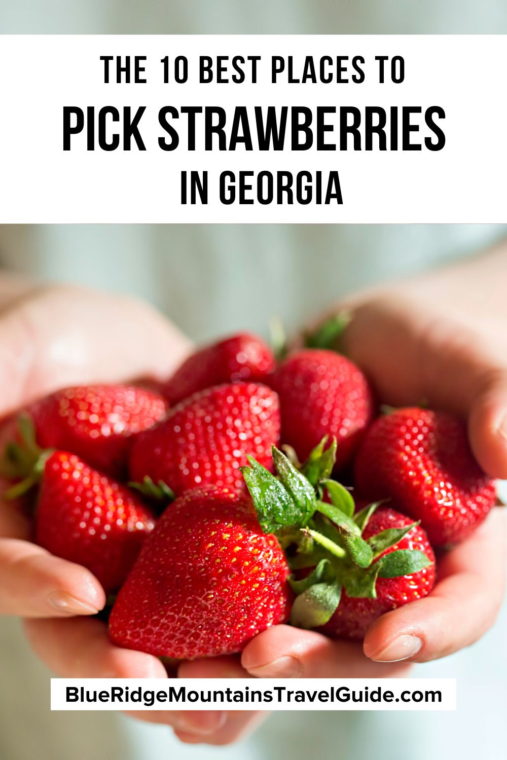 Strawberry Picking in GA: The 10 Best Strawberry Farms to Visit including info on other produce available, fun activities, events, and more! | strawberry patch | strawberry picking farms | picking strawberries in georgia | strawberry picking in ga | pick your own strawberry farm | strawberry picking in georgia | ga strawberry picking farms | farms in georgia | local strawberry picking | georgia strawberry farms | strawberry farms in georgia | strawberry picking atlanta | fruit picking georgia |
