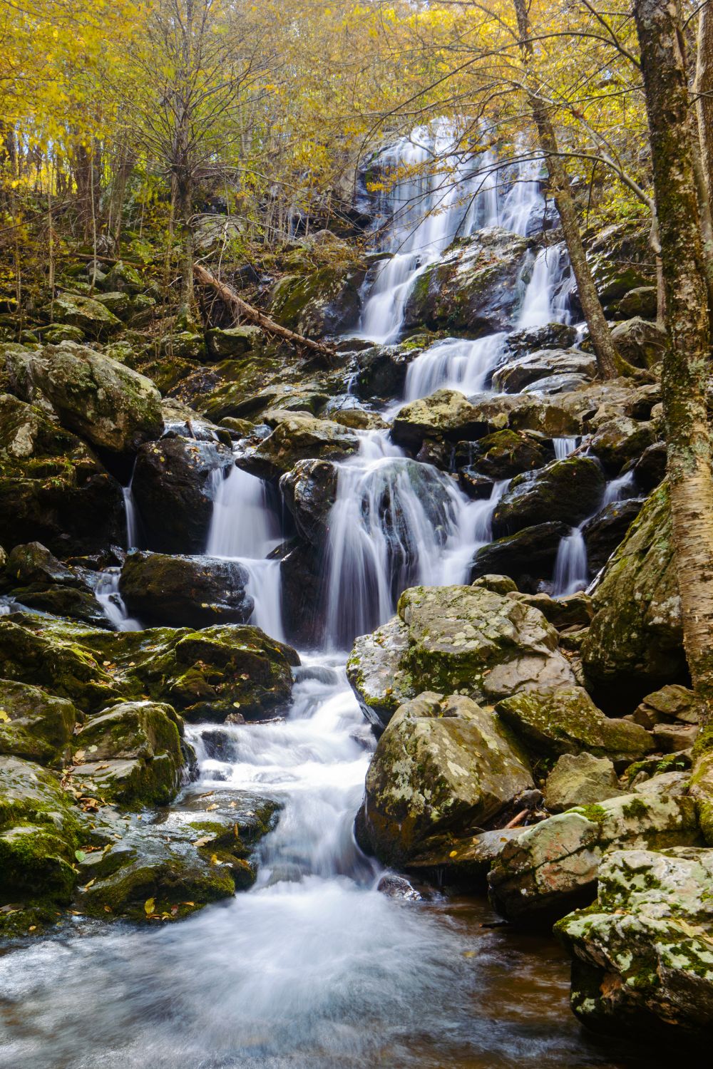 The 15 Best Virginia Waterfalls for Hiking